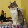 Отзыв от Евгения Борисова